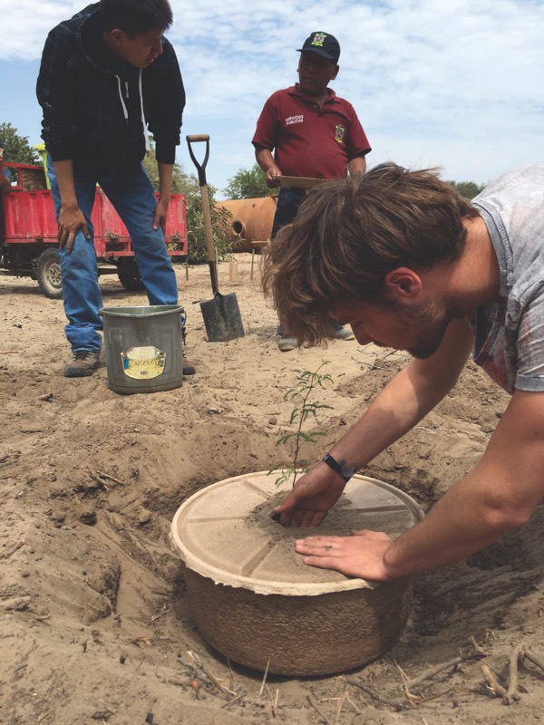 Land Life intern Sjors planting his first Cocoon in Peruvian soil