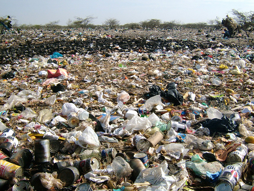 Pollution is a large contributor to the loss of habitat for the Plantcutter