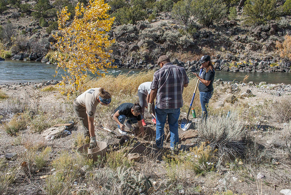  Together vets and students planted approximately 30 cottonwood trees and more than 500 milkweed plants