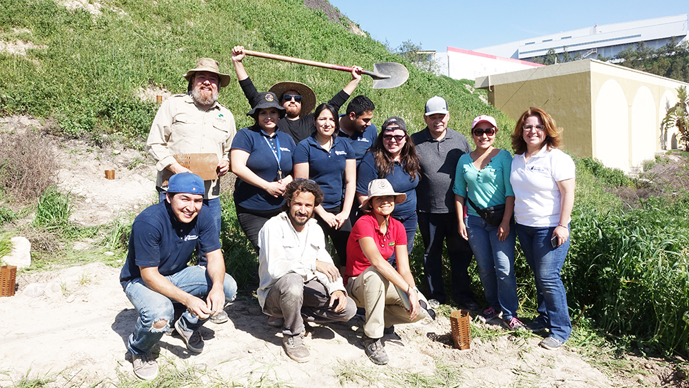 Land Life partnered with local NGO Tijuana Innovadora to restore the embankment zone.