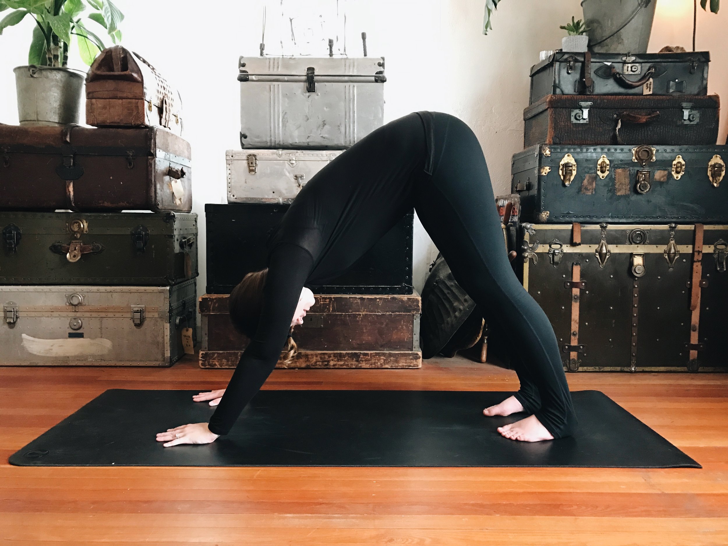 DOWNWARD DOG VARIATION (KNEE TO NOSE) : Begin In Downward Facing Dog 