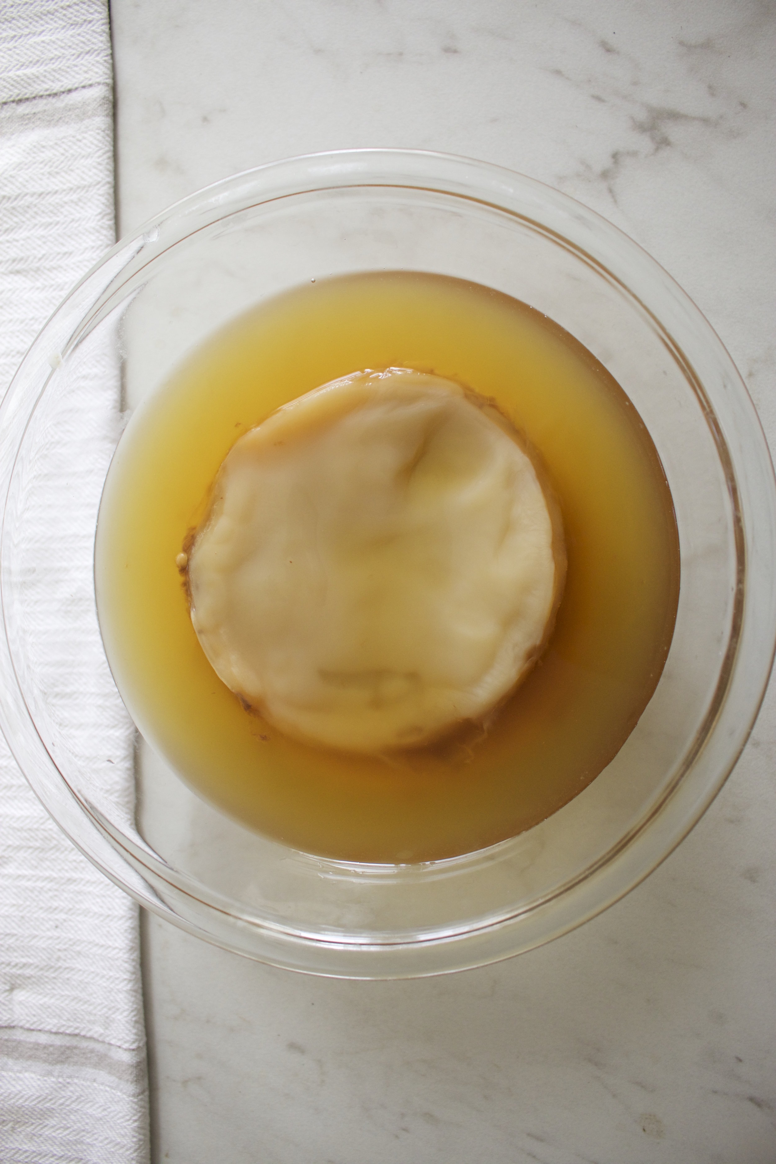 SCOBY