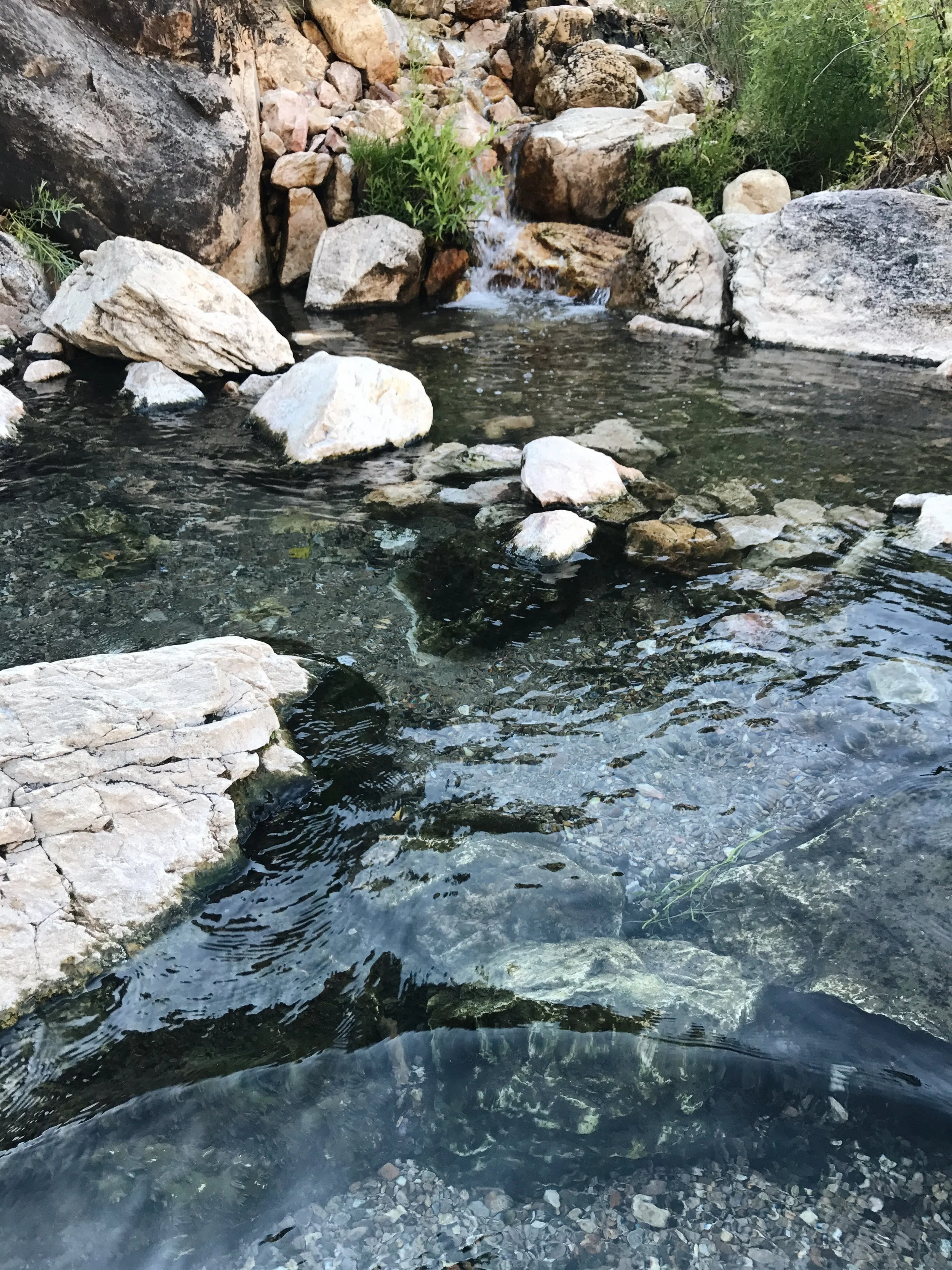 Goldbug Hot Springs