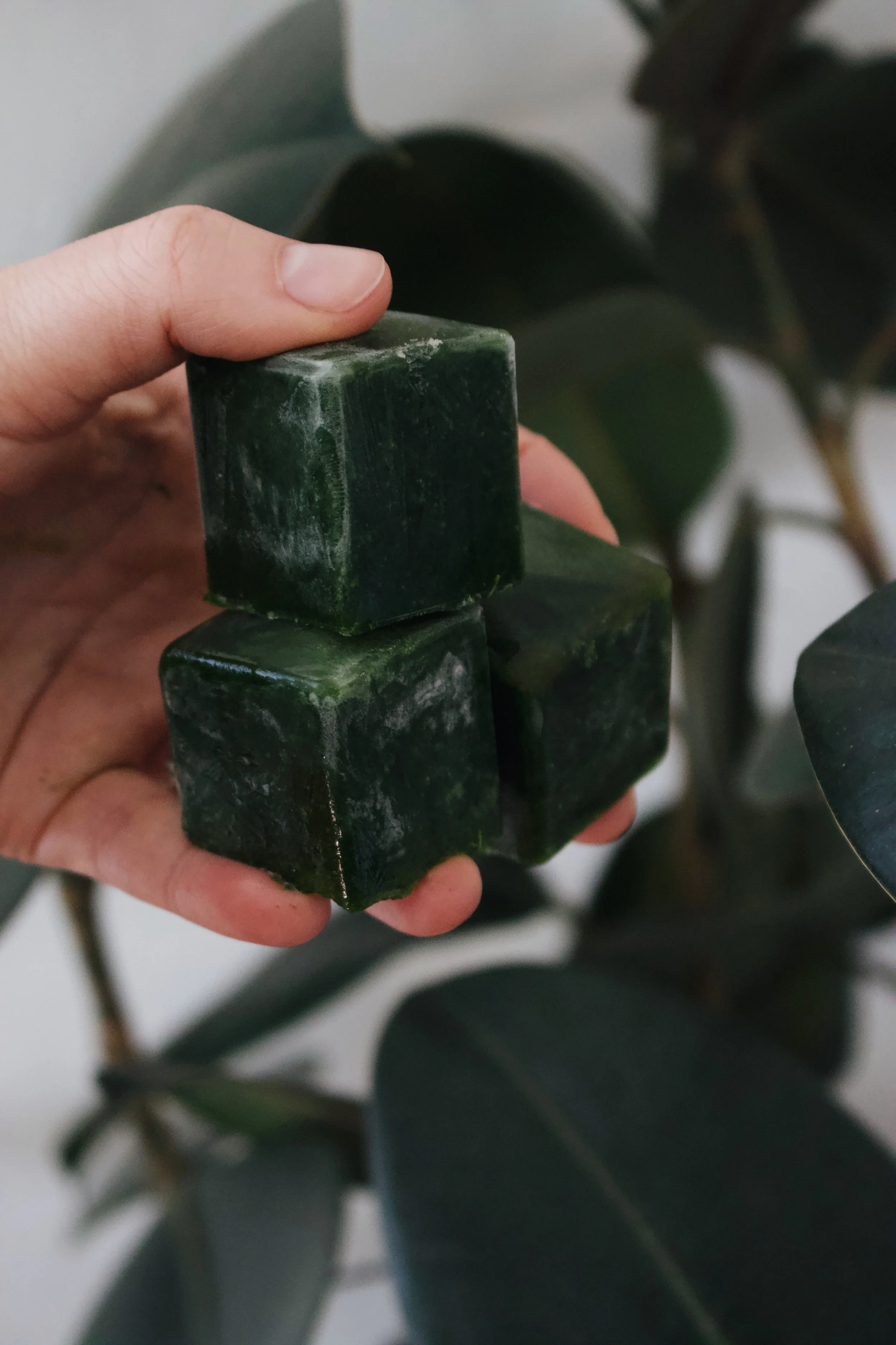 Spinach Cubes 