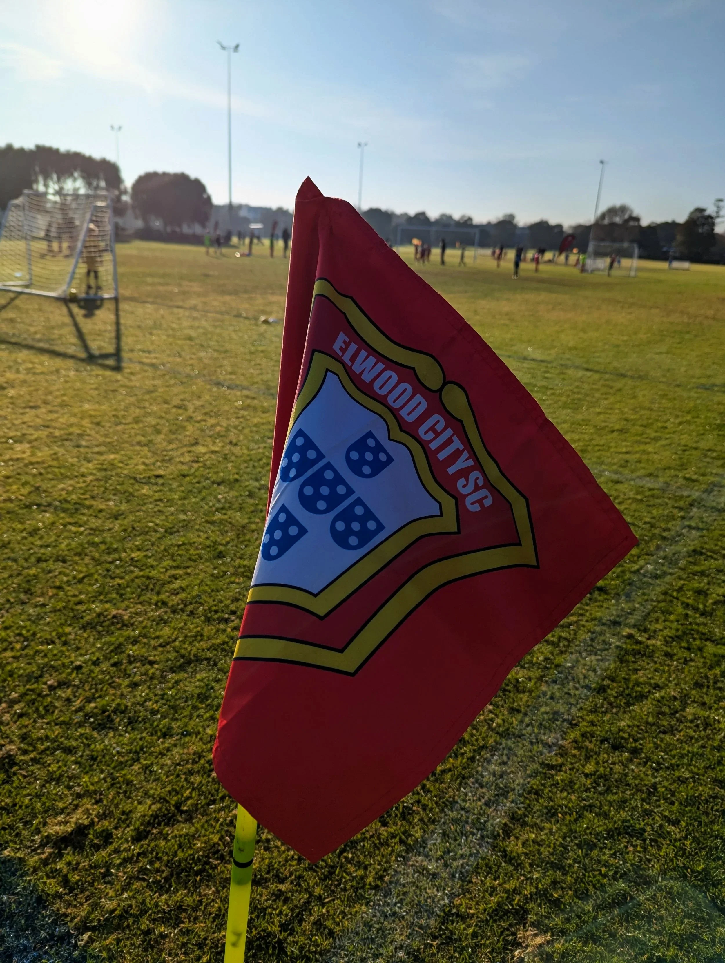Elwood City Soccer Club - Head Street Oval