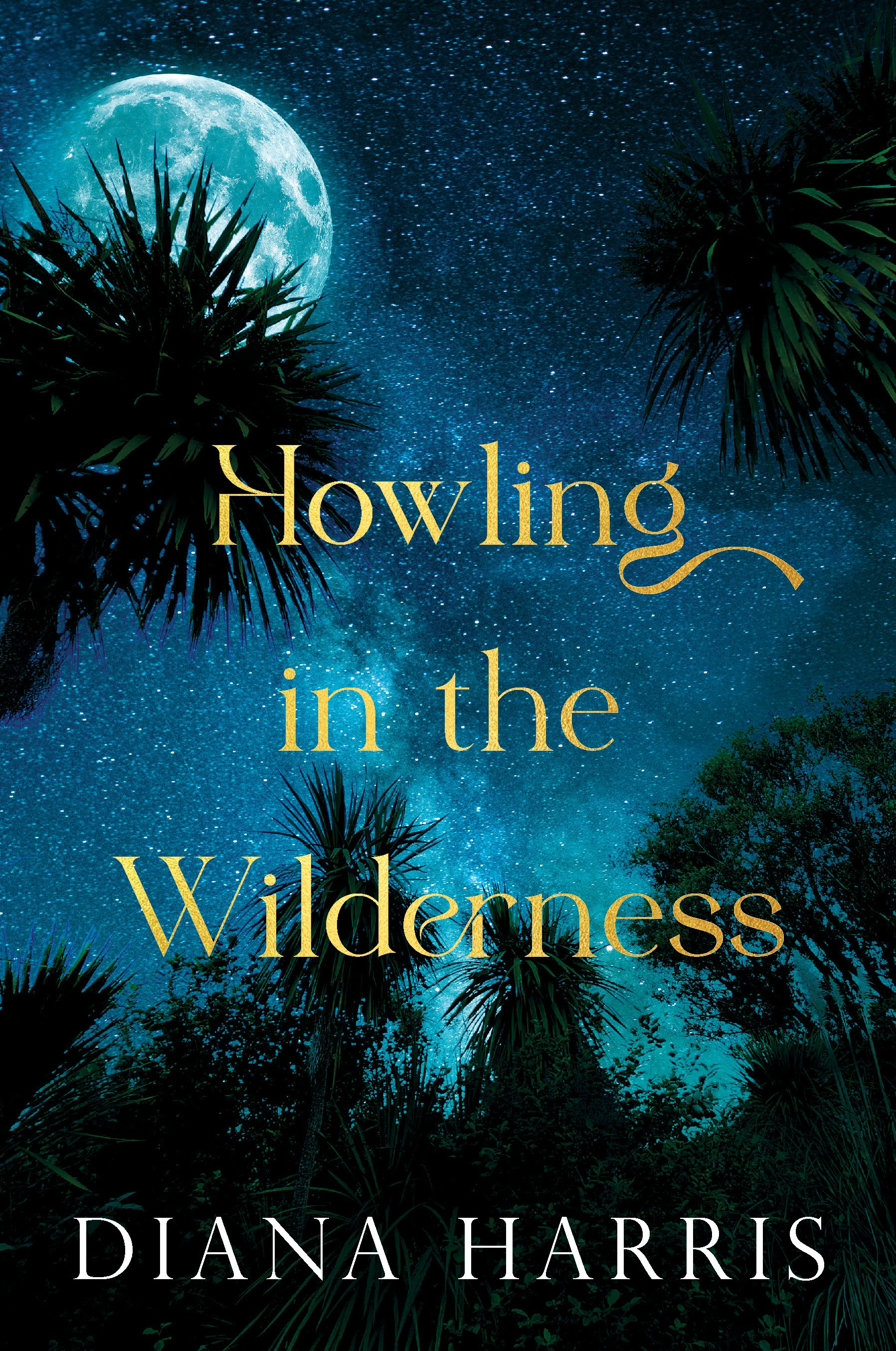  This lively historical novel is a compelling account of the people, events, and the forces driving them that surrounded the signing of the Treaty of Waitangi. 