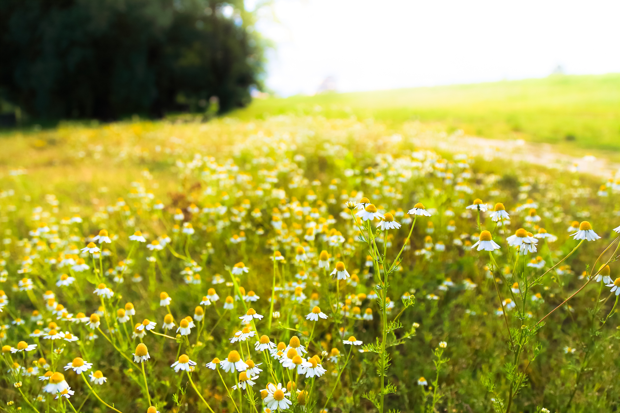 Photo by Dejan Kolar/iStock / Getty Images