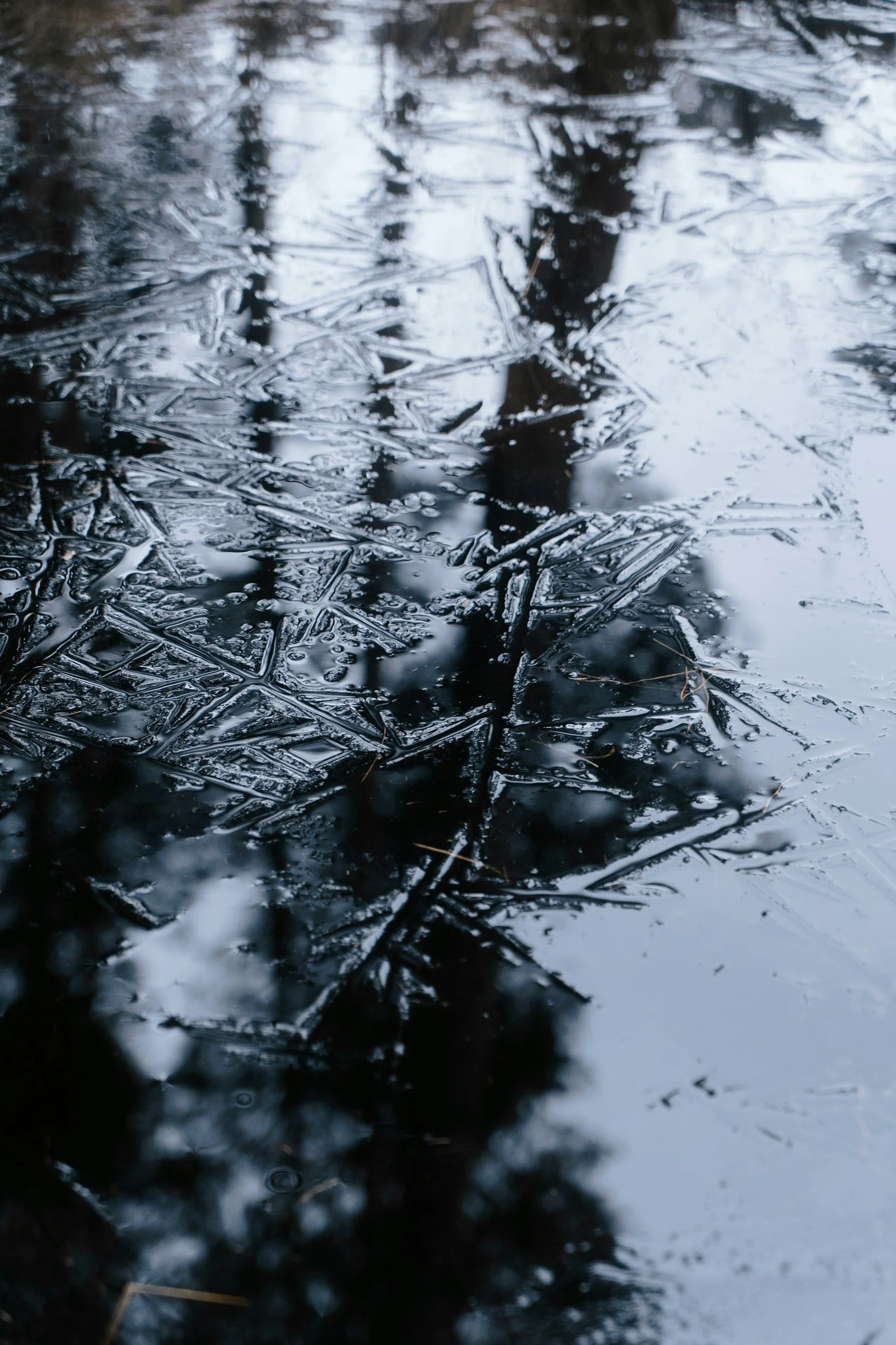 Exploring the Water Element in Winter by David Tircuit