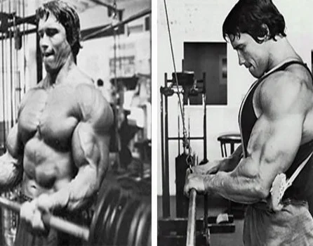 Workout Tip: Supersets/ Compound Sets/ Giant Sets
