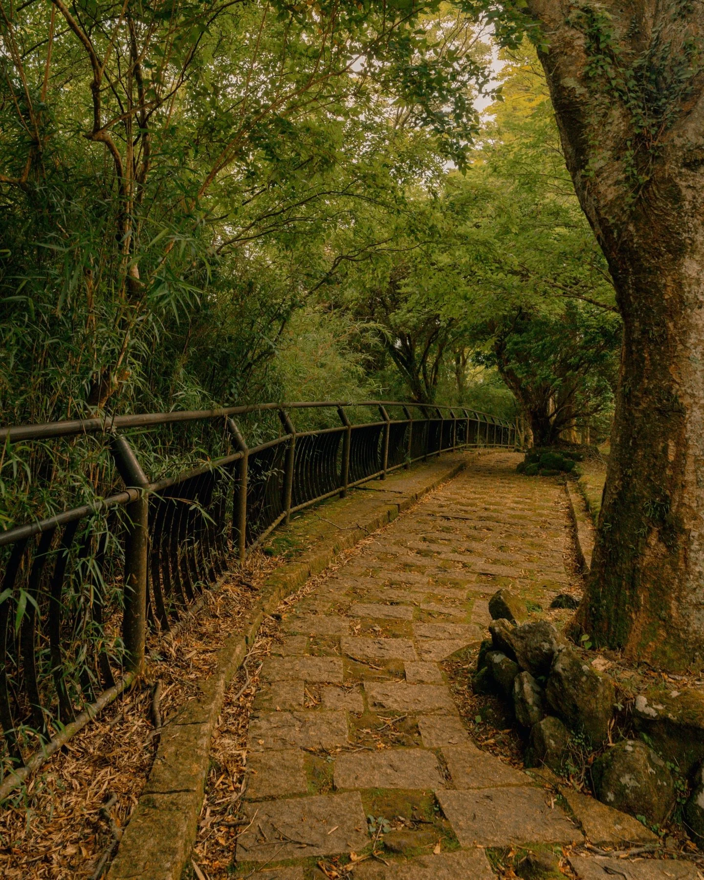 Photos from my first book 𝑹𝒆𝒔𝒑𝒊𝒕𝒆 ☀︎

Thanks again to everyone who purchased a book in the pre-sale stage and to those that have purchased one after the fact! It&rsquo;s been incredibly affirming to sell these babies one by one. I&rsquo;m imme