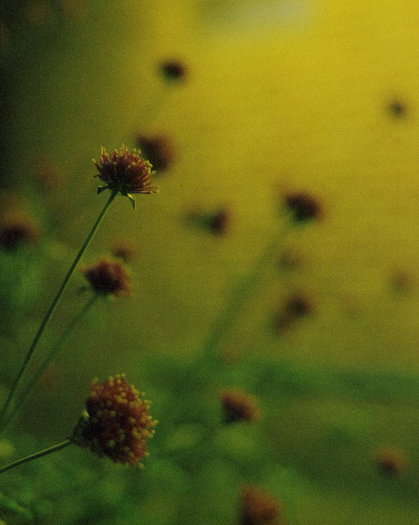 Happy Holidays, lil people in my phone. 🎄Grateful to cultivate my creativity with a community of artists I respect, find consistent inspiration from, and can feel at home with. What a life! ❤️&zwj;🔥