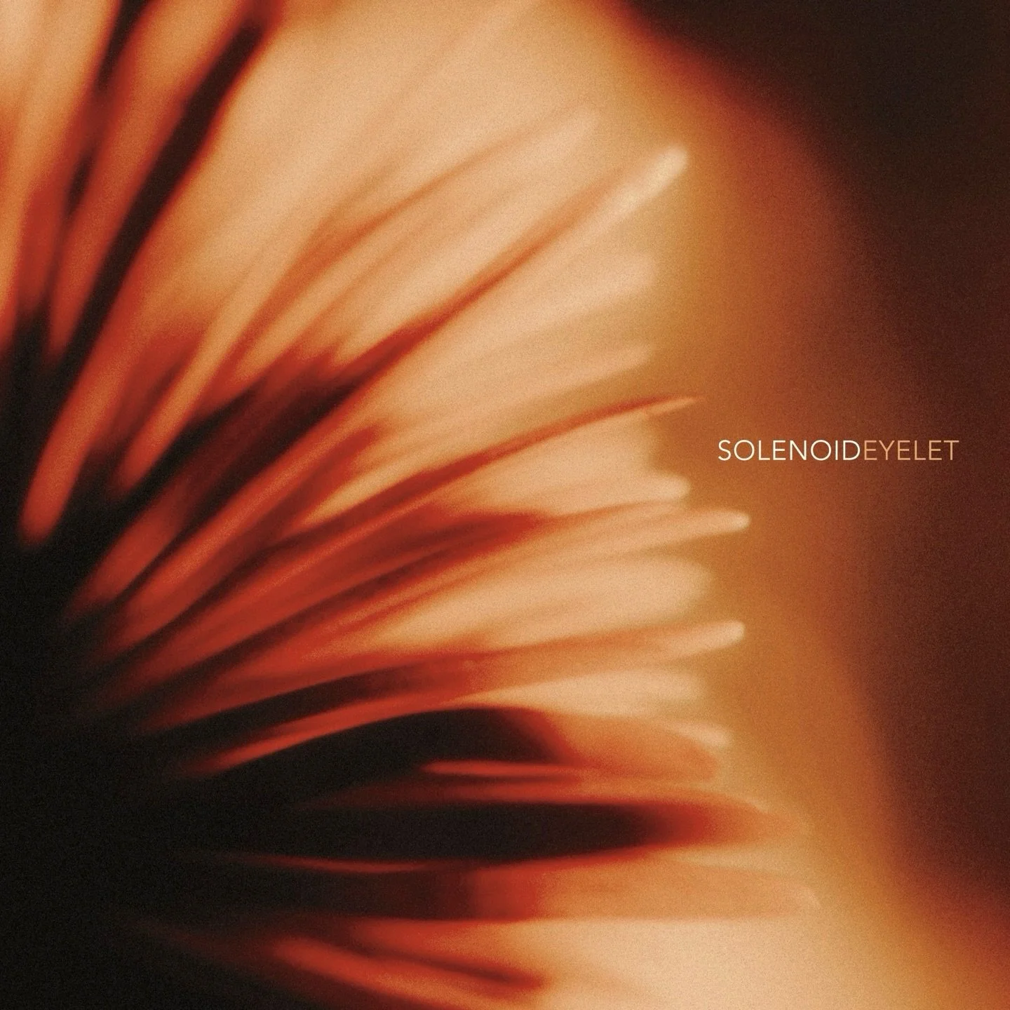 Had the honor of collaborating on the art direction for Eyelet&rsquo;s third full length 𝑺𝒐𝒍𝒆𝒏𝒐𝒊𝒅. Photo &amp; graphic design all by me! The album photography was done in my studio here in Chicago using a fresnel lens sheet to reach an abstra