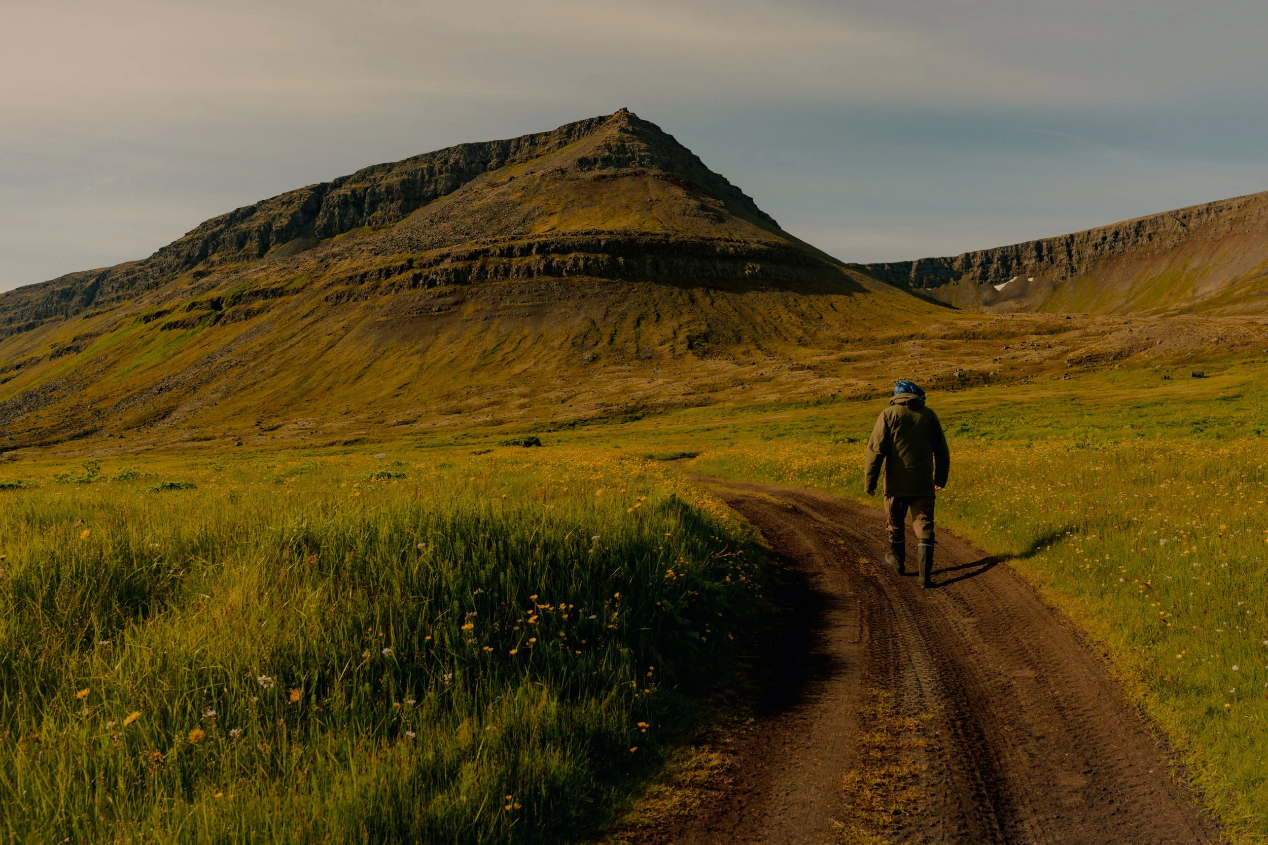 Iceland-72.jpg