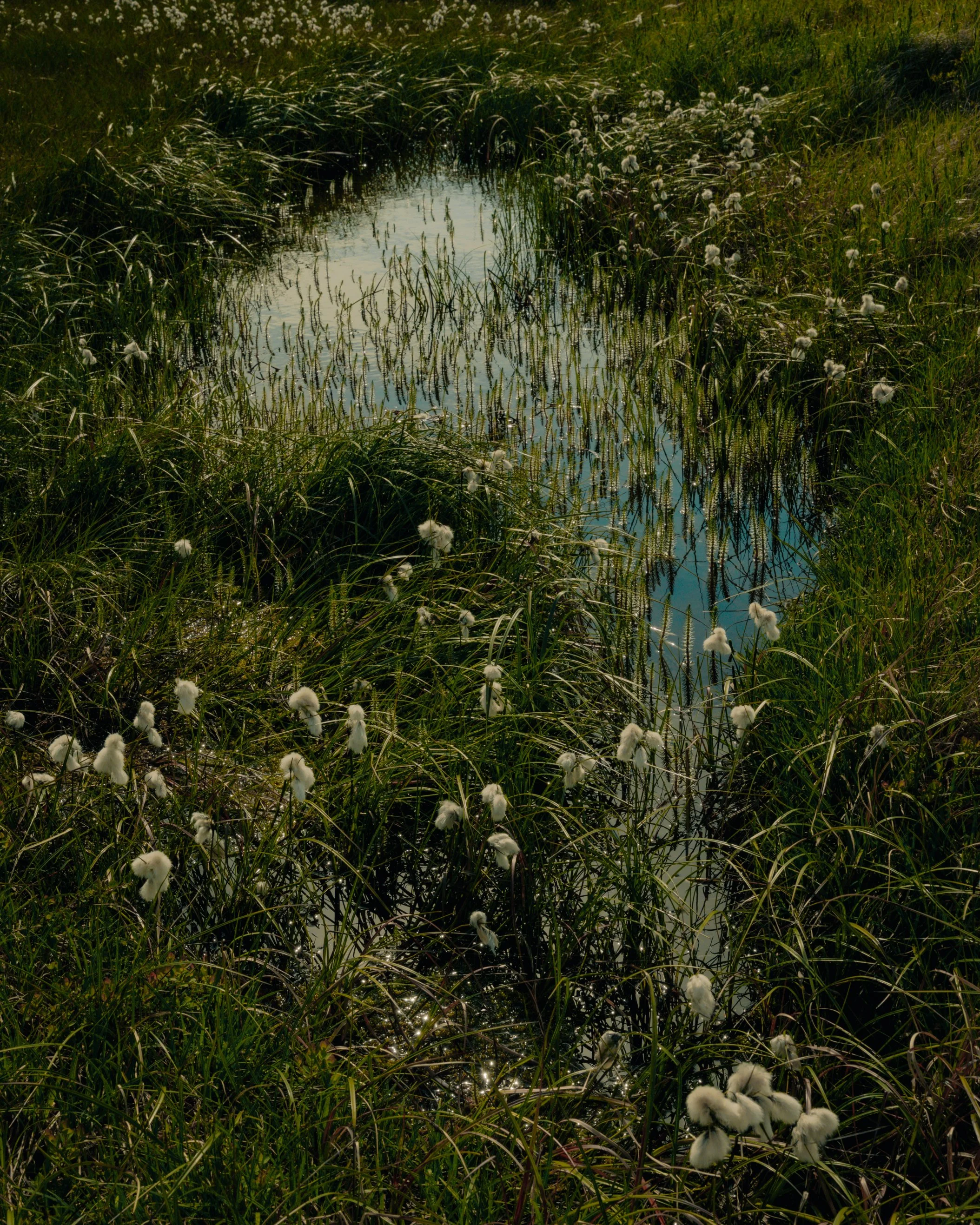 Iceland-8.jpg