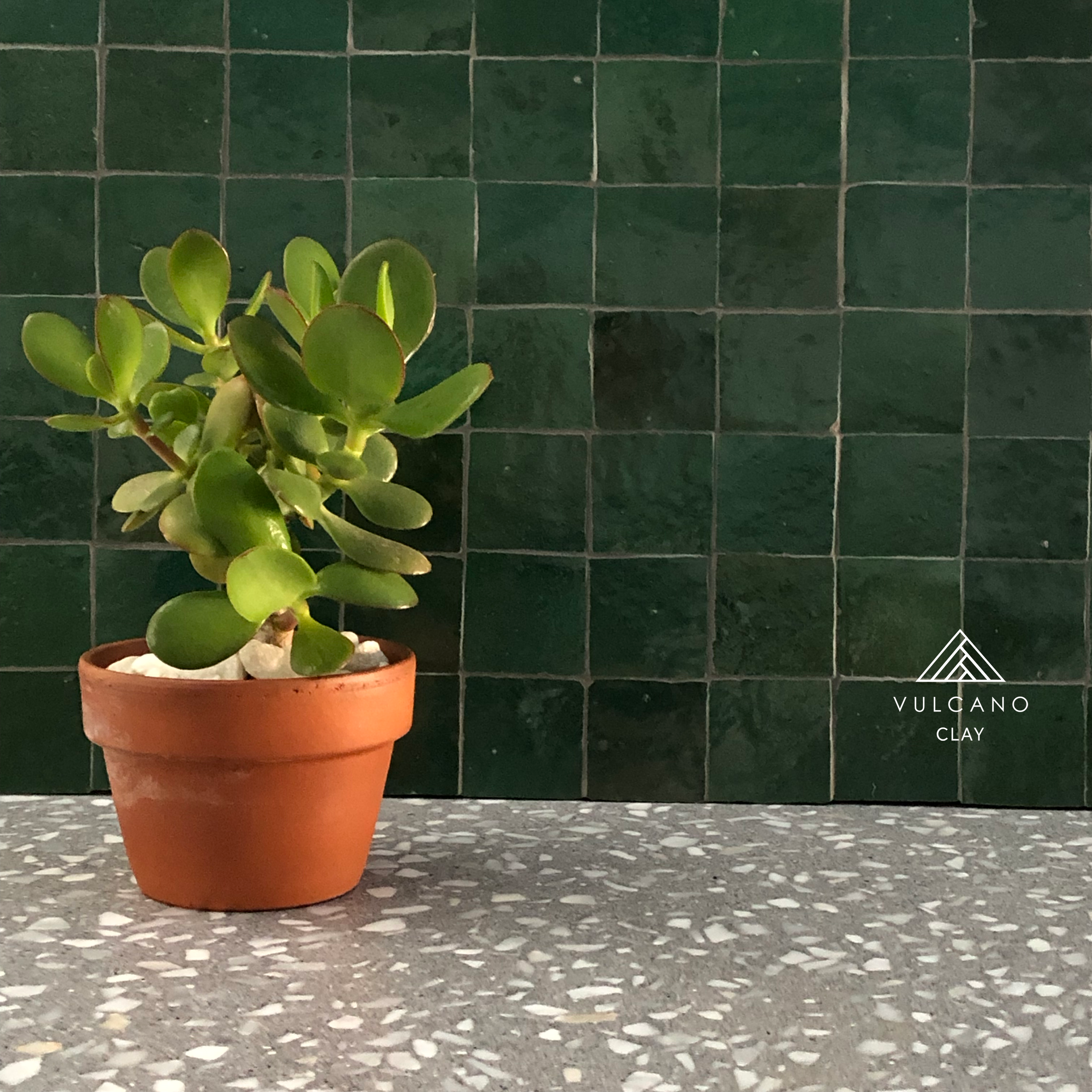 TUESDAY INSTAGRAM.png