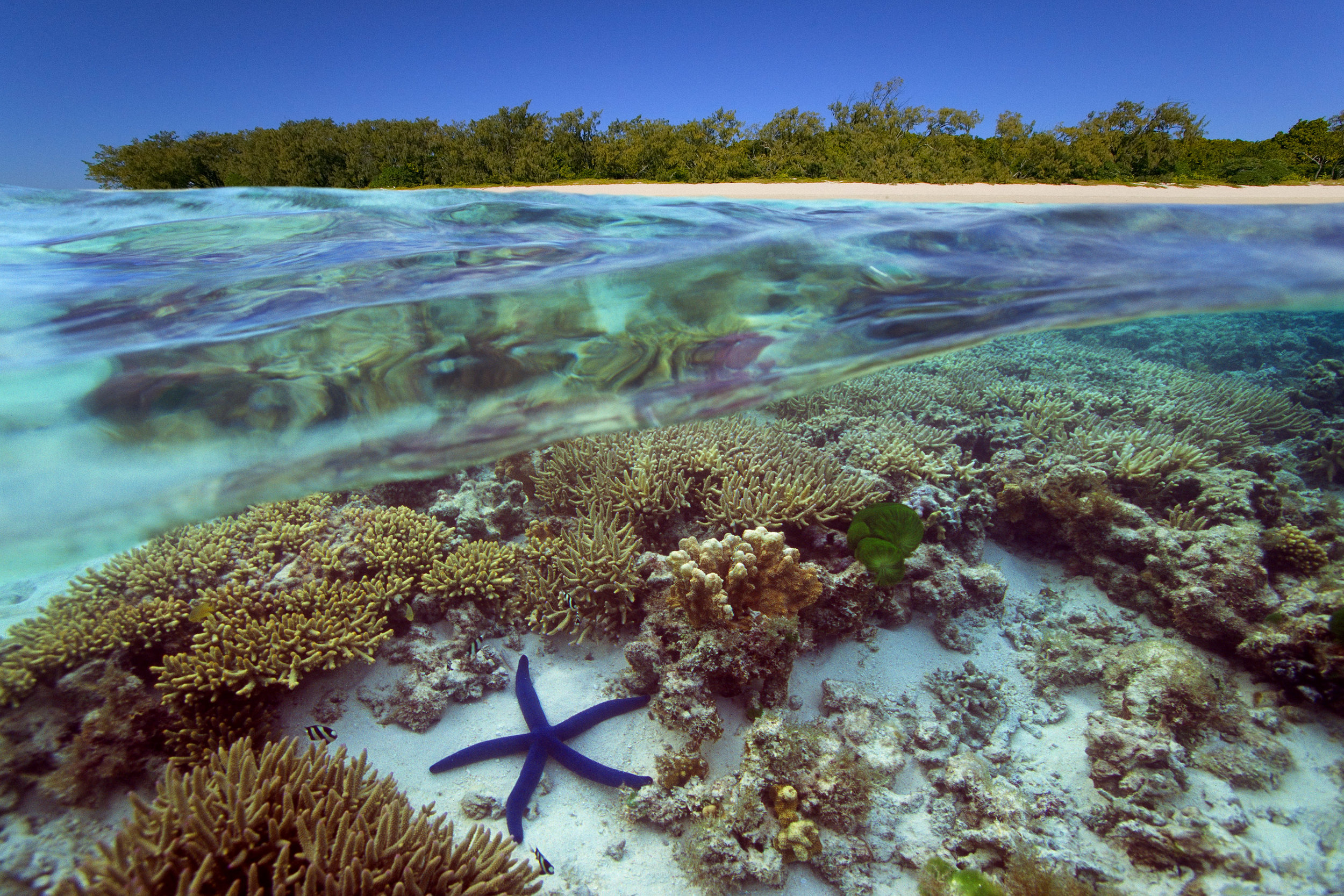 ACFEC committed to pro bono work