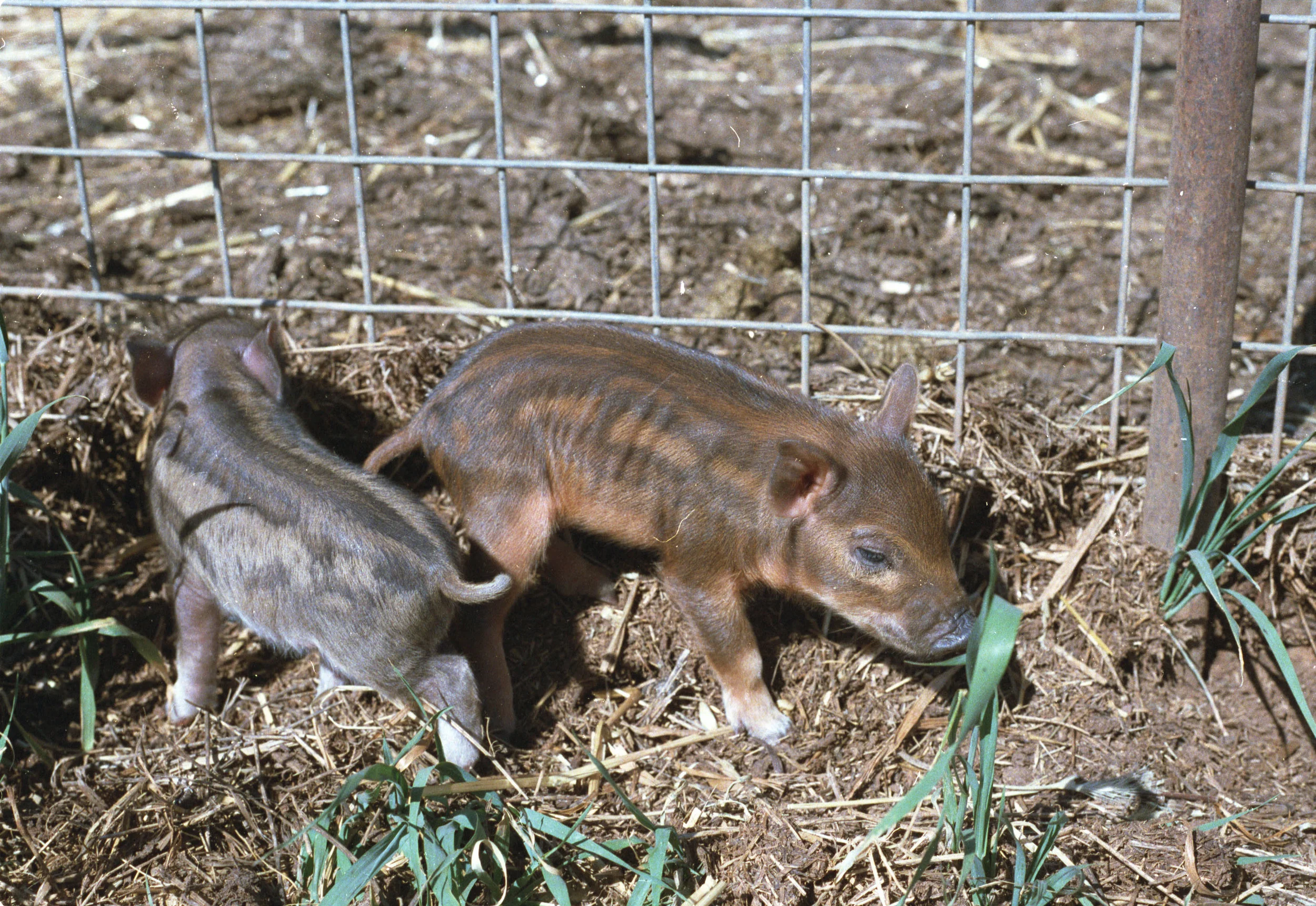 LLS Biosecurity Act 2015 Regulatory Training Refresher Courses