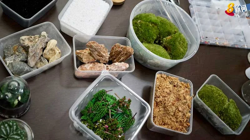 照片:陆雅雯