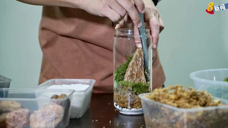 照片:陆雅雯