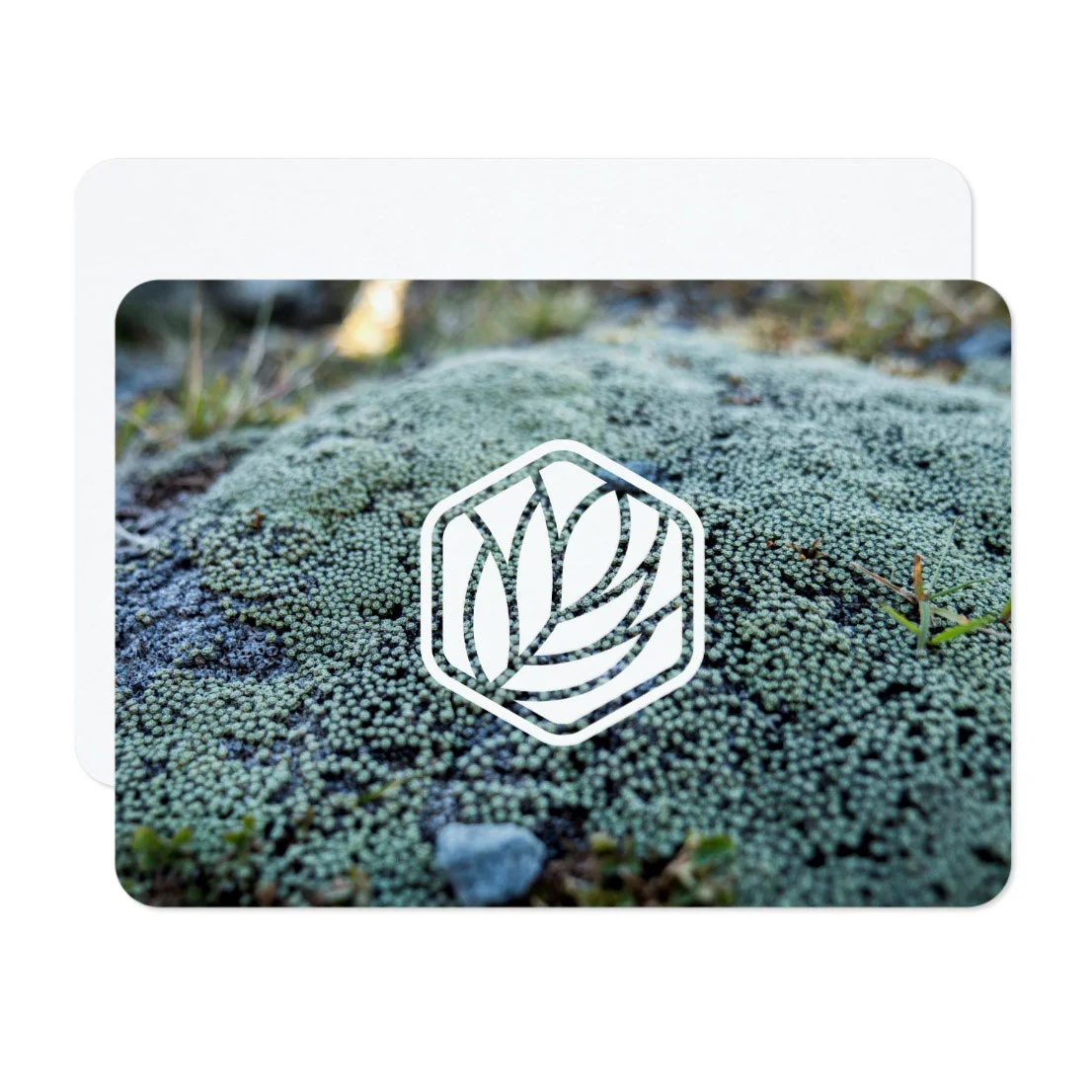 Card-5.jpg
