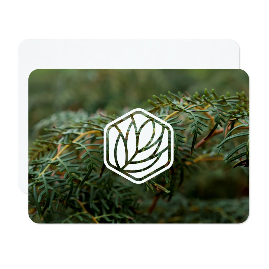 Card-2.jpg