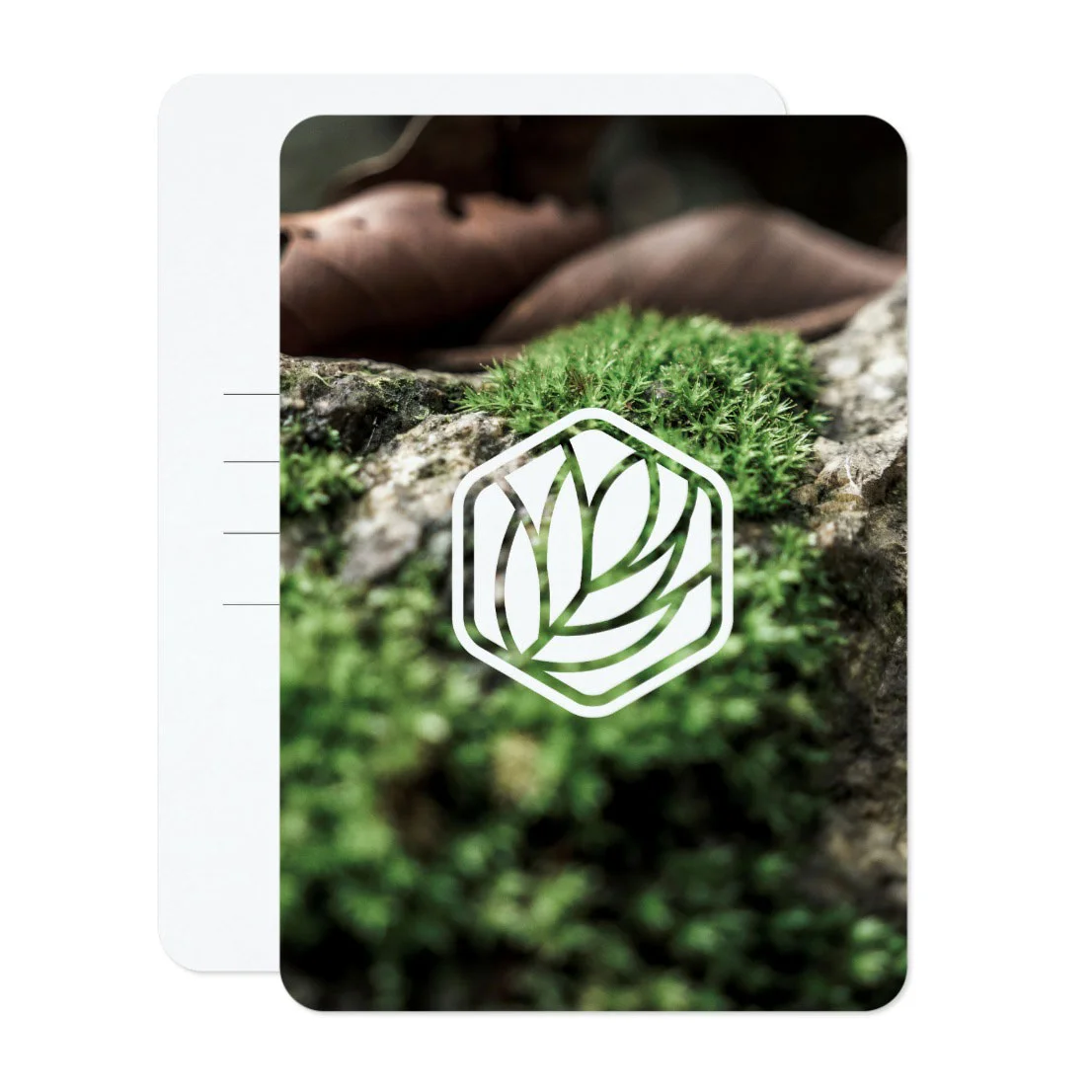 Card-6.jpg