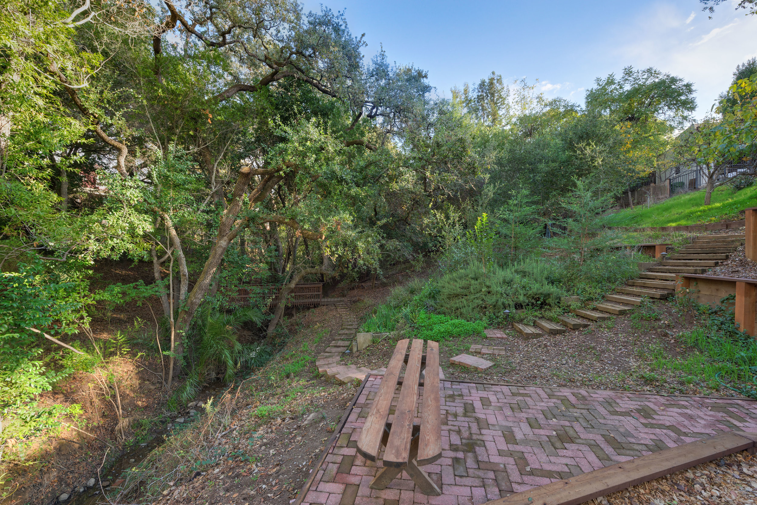 28. Backyard2.jpg