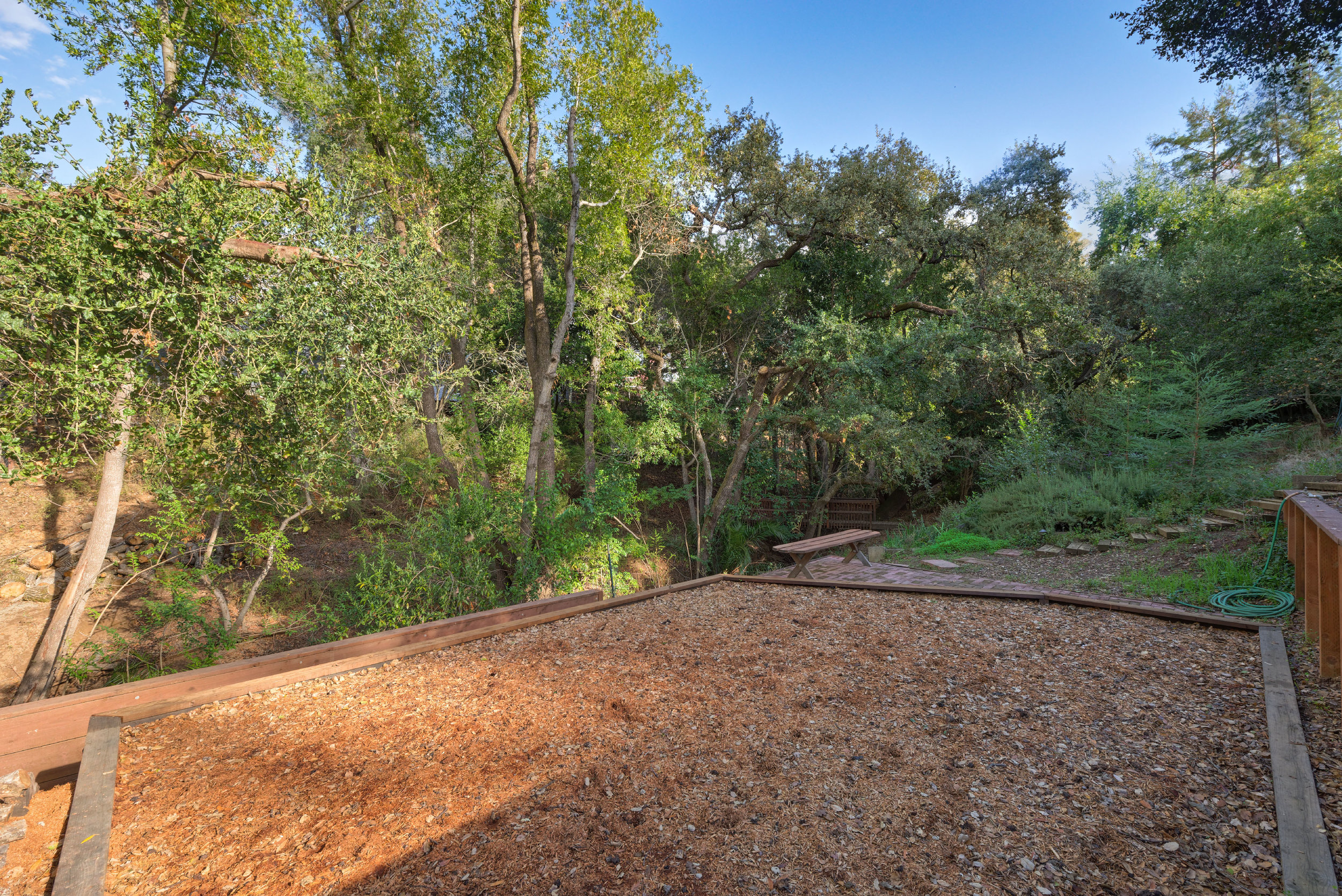 31. backyard1.jpg