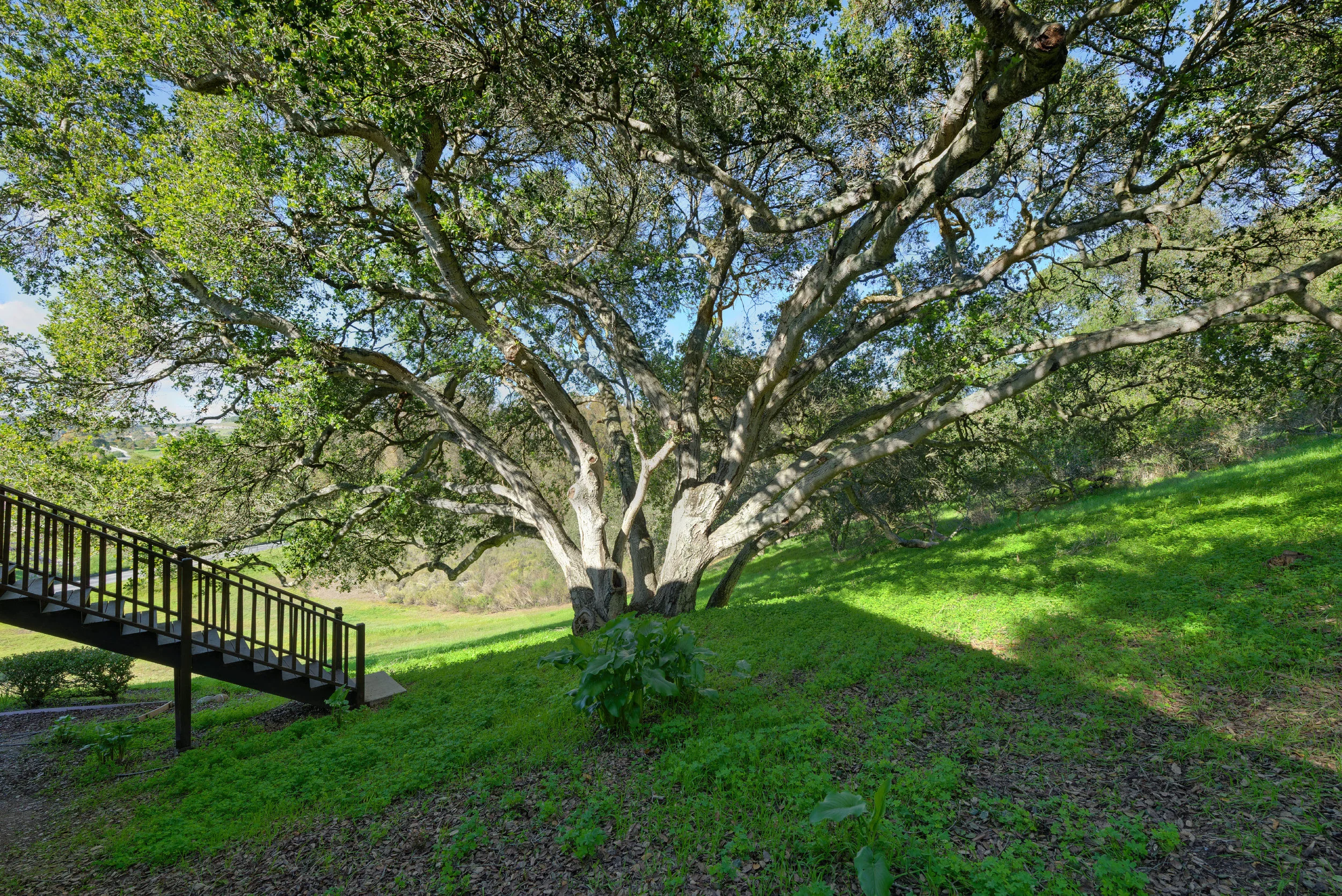 BOak_706 Carpenteria R_Ducky Grabill Real Estate.jpg