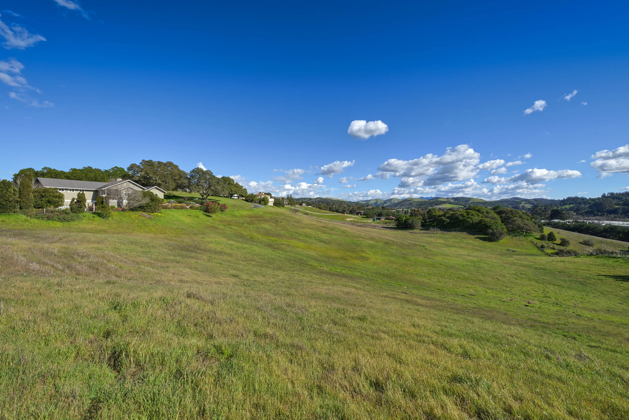 FYard_706 Carpenteria R_Ducky Grabill Real Estate.jpg