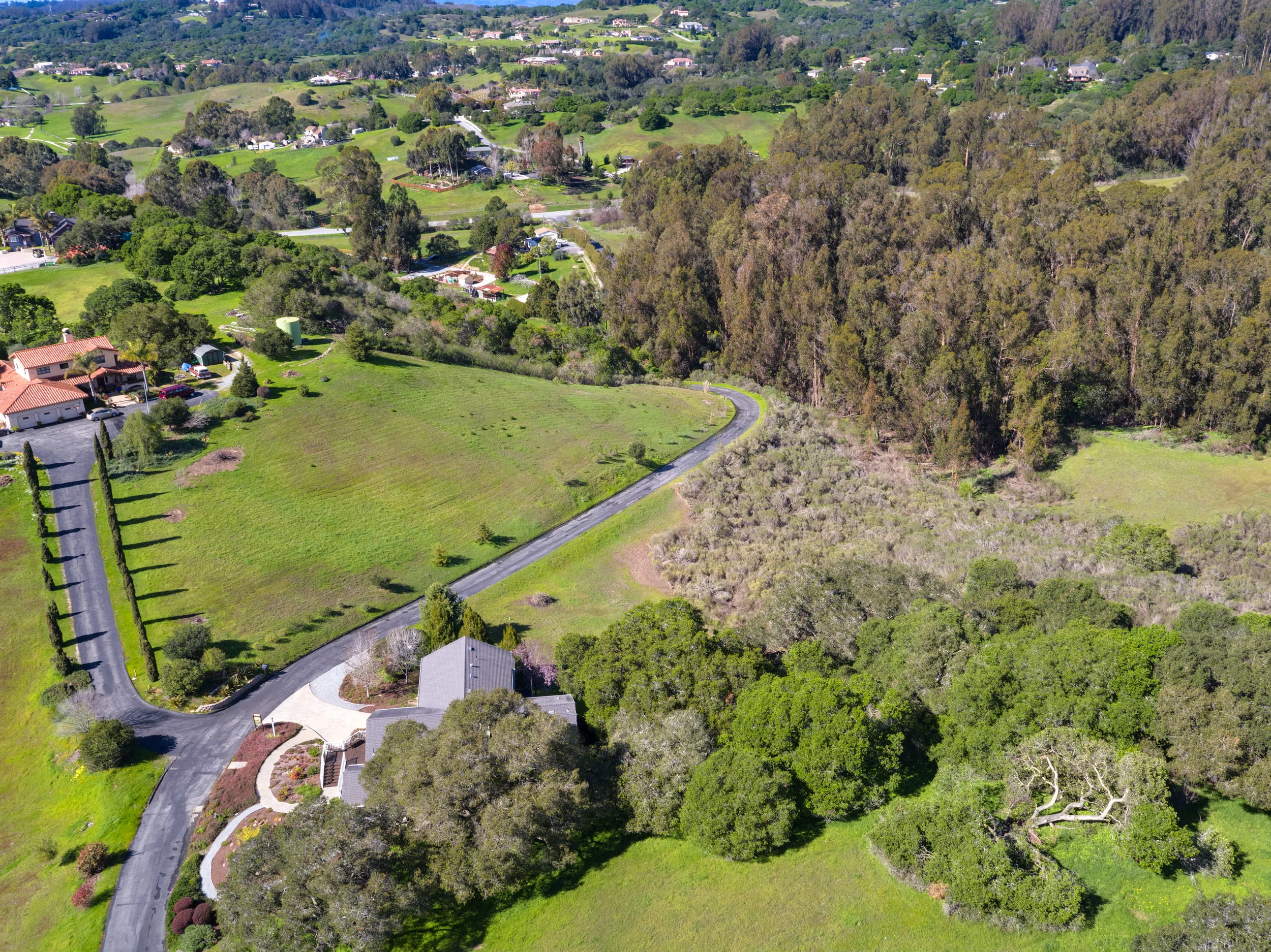 DJI_0081And2moreEnhancer.jpg