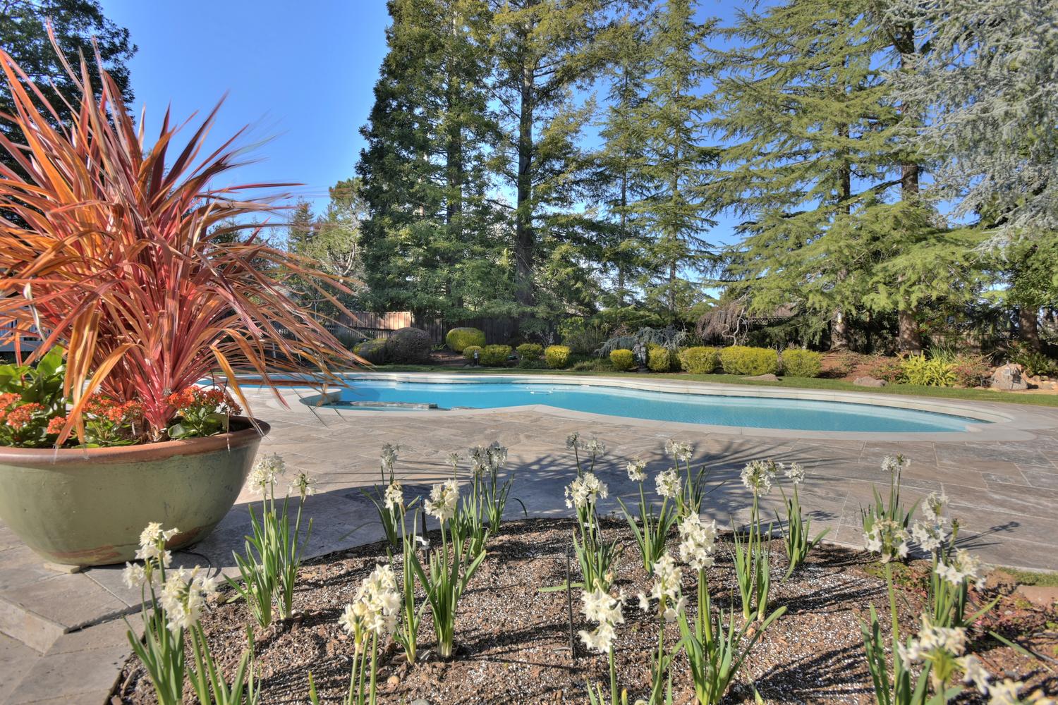 15977 Grandview Dr Monte-large-053-53-Pool and Flowers-1500x1000-72dpi.jpg