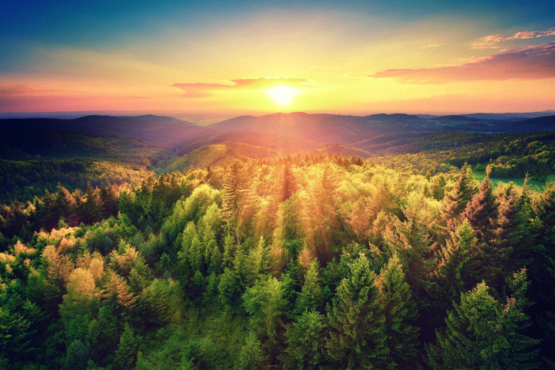 Photo by Smileus/iStock / Getty Images