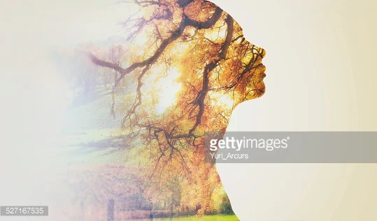 Photo by Yuri_Arcurs/iStock / Getty Images