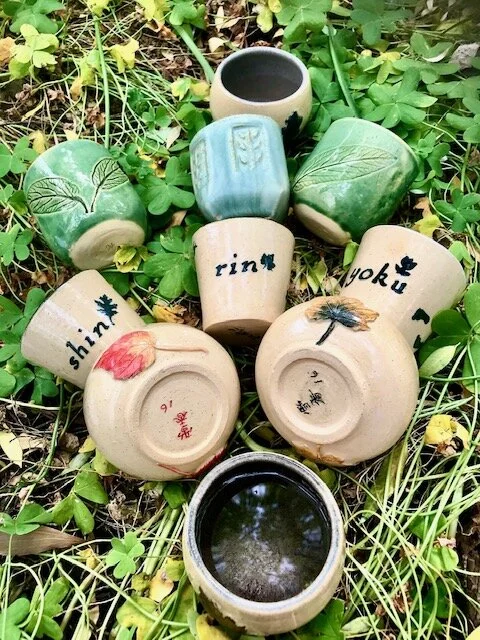 Virtual Forest Bathing / Nature Connection