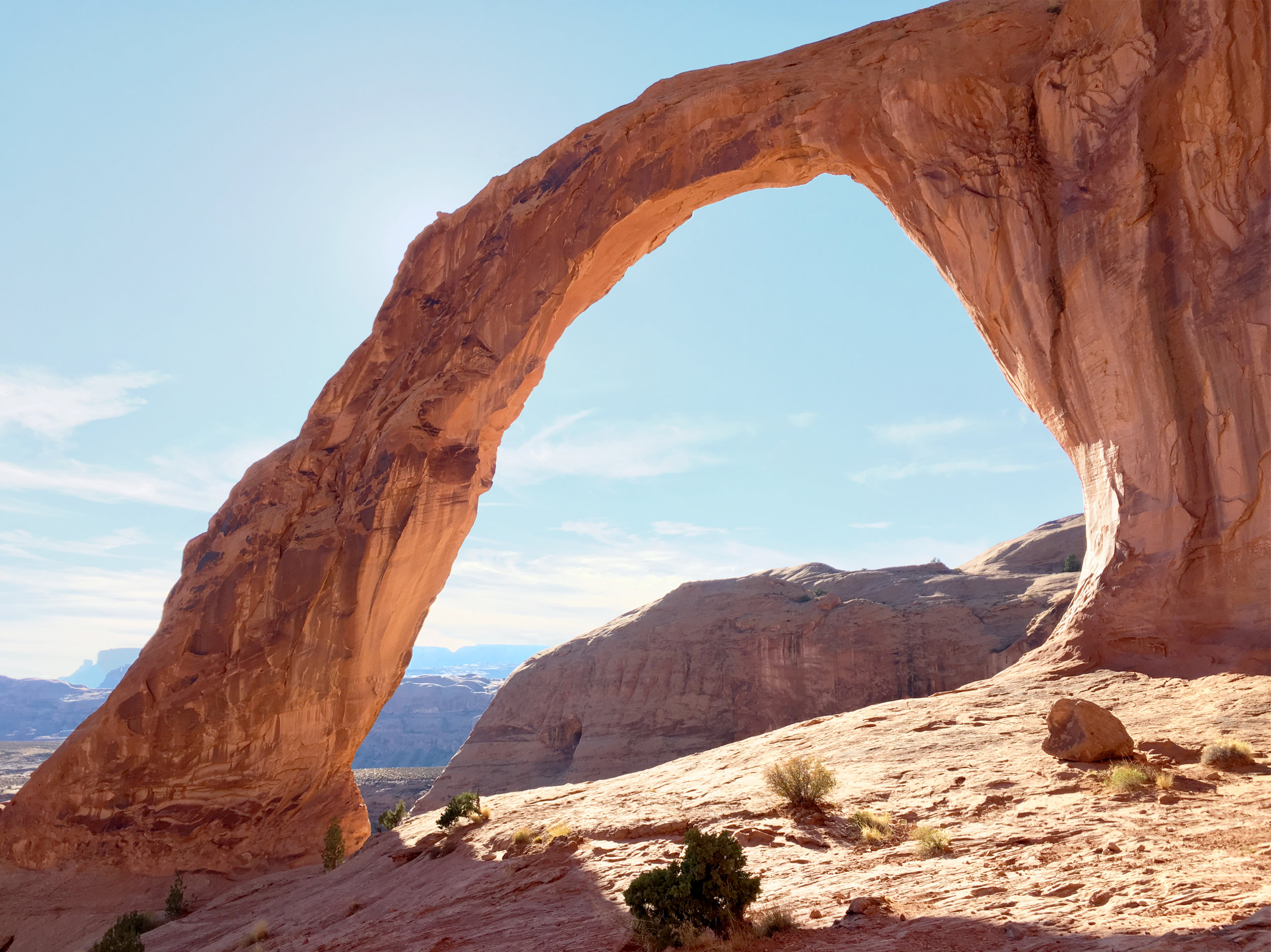 Of Arches And Ants