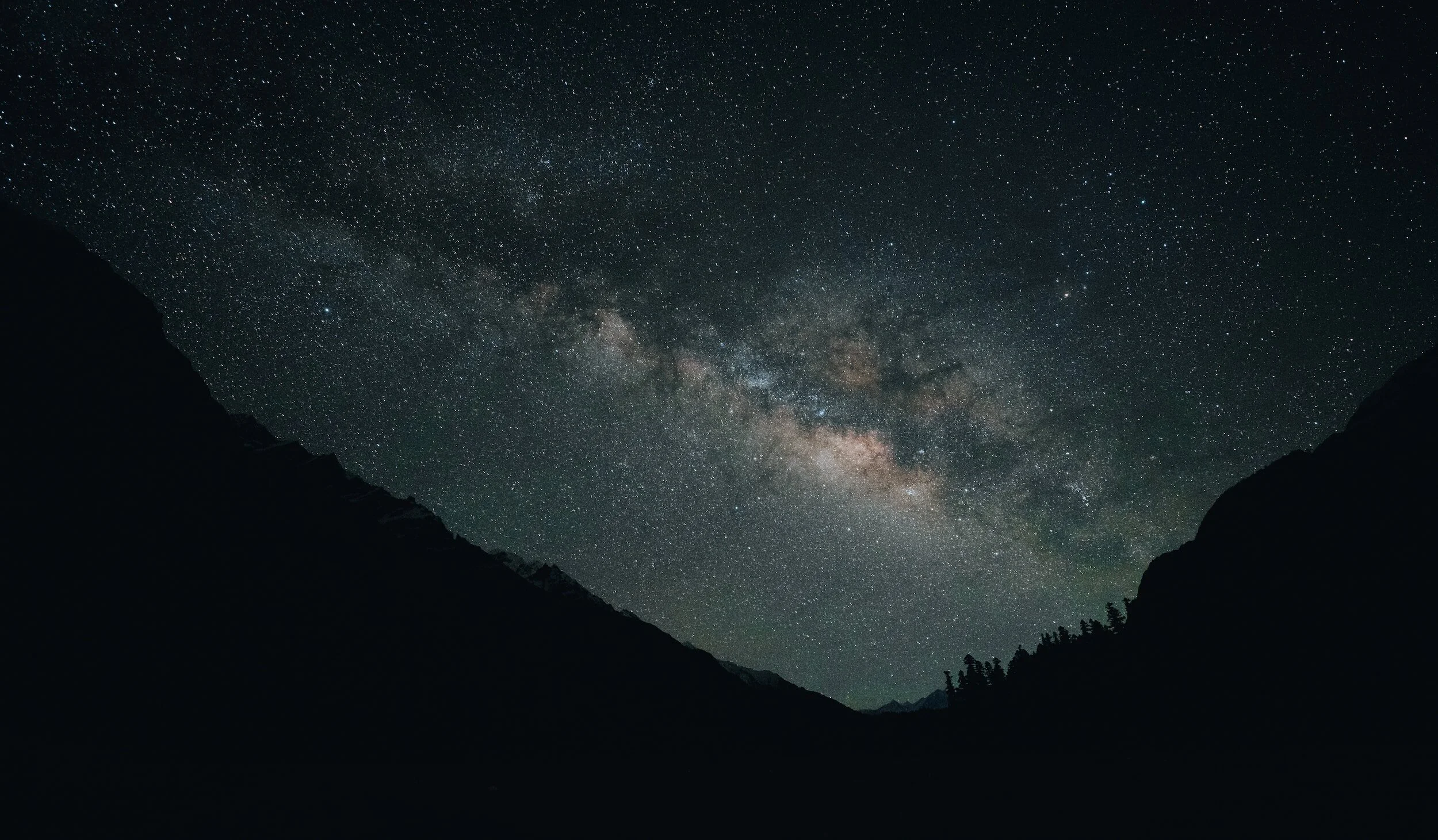 Embracing Failure: The Surprising Benefits of Celebrating Your Missteps