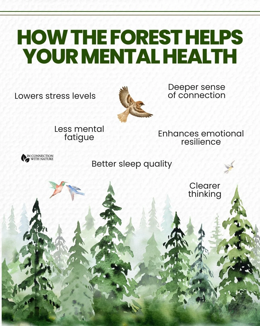 Spending time in the forest does more than give you a break from your routine, it can have a powerful impact on your mental health.

Here are a few scientifically-proven ways how the forest helps your mental health. 

Understanding how the forest hel