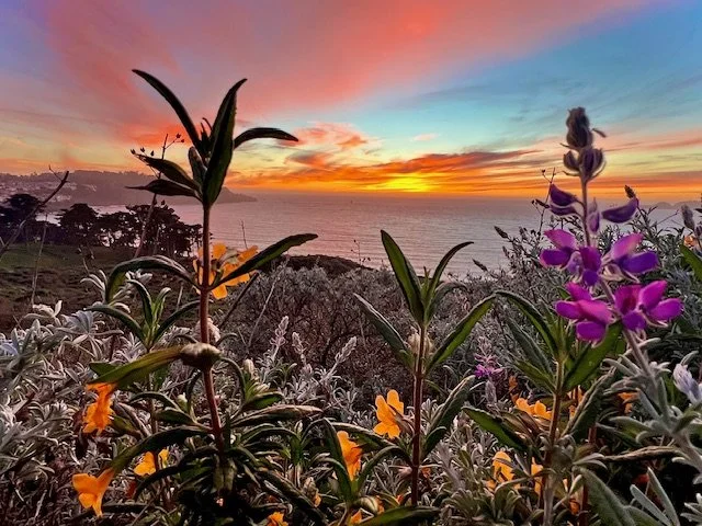 Learning to Stay With It (Even When It’s Not Working)