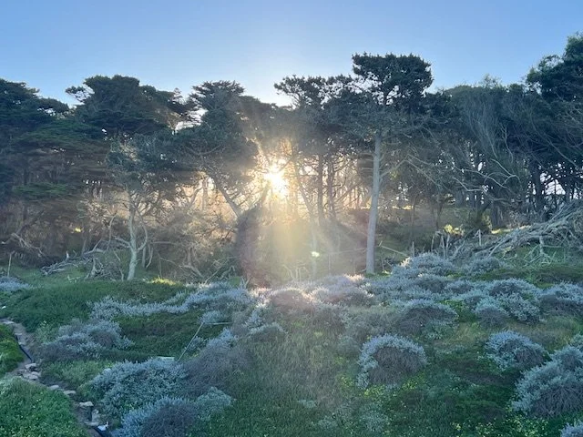 3 Steps to Break Free from the Stuck Cycle 🌻

There&rsquo;s something I&rsquo;ve been noticing in myself lately.

After my month-long cold water challenge, something shifted.

I built this ability to do things I don&rsquo;t feel like doing&hellip;
a