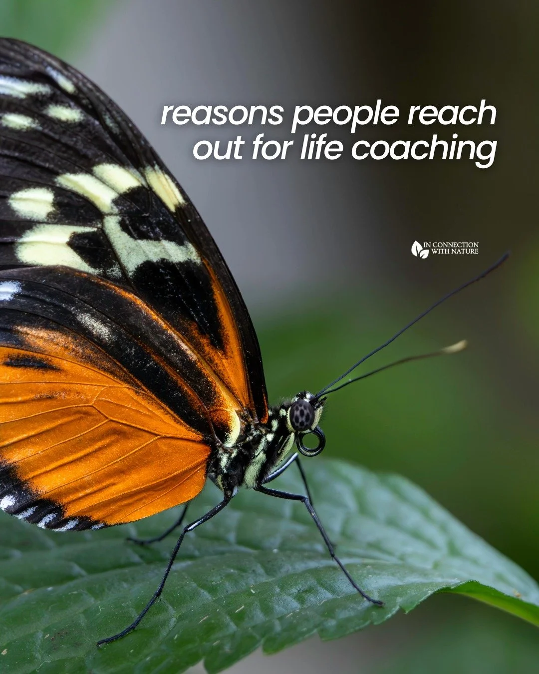 People reach out for life coaching for so many different reasons.

Life coaching isn&rsquo;t about having something &ldquo;wrong&rdquo; with you. It&rsquo;s mainly about having support as you move through change, growth, and self-discovery. It&rsquo;