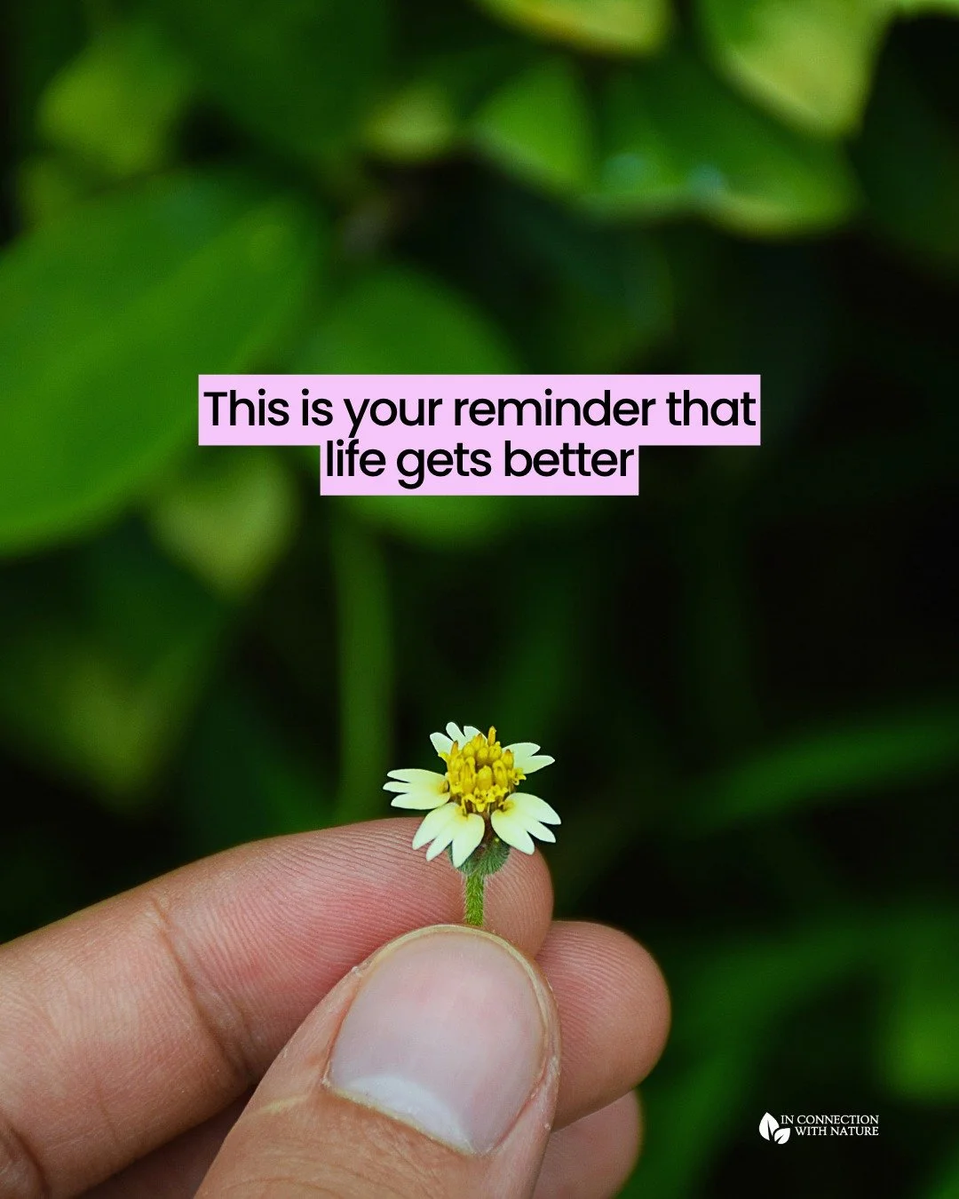 Life gets better

I&rsquo;m sharing real success stories from my clients to remind you that healing doesn&rsquo;t always happen in big, dramatic breakthroughs, but it happens.

Where you are right now is not where you have to stay. Healing is possibl