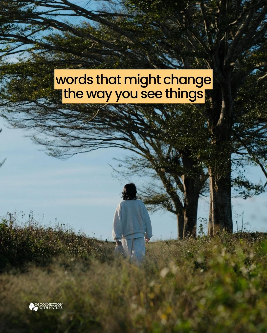 A few words that may change the way you see things.

Here are some of the reflections I often share with my clients and in my blogs that have helped them meet what they&rsquo;re going through in a softer way.

If this speaks to you and you&rsquo;re l