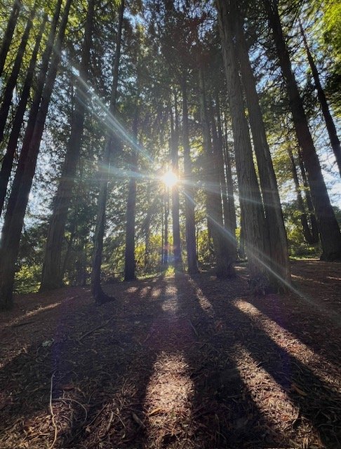 Why I Don't Lead Nature Walks