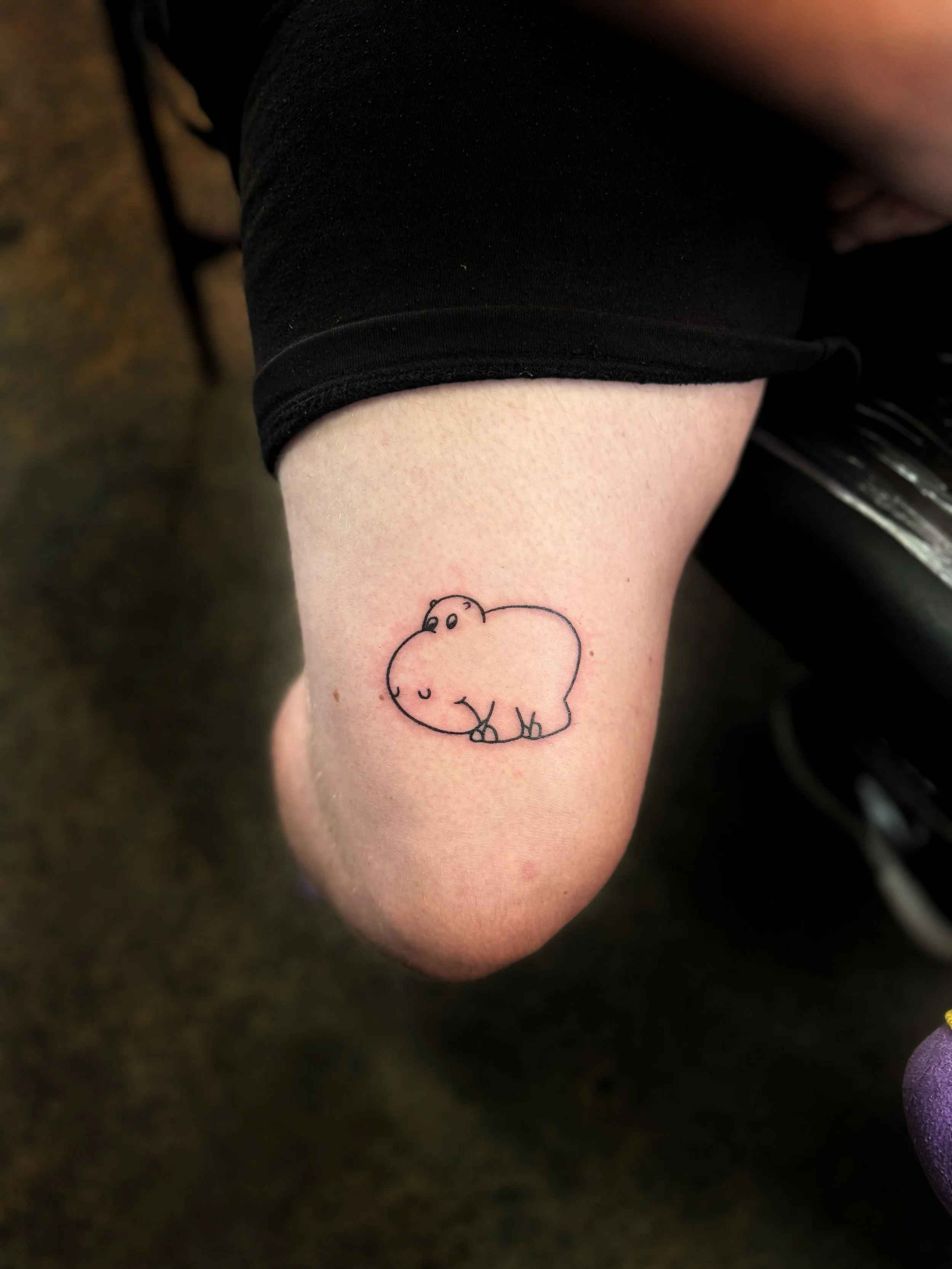 Copy of FullSizeRender copy.jpeg