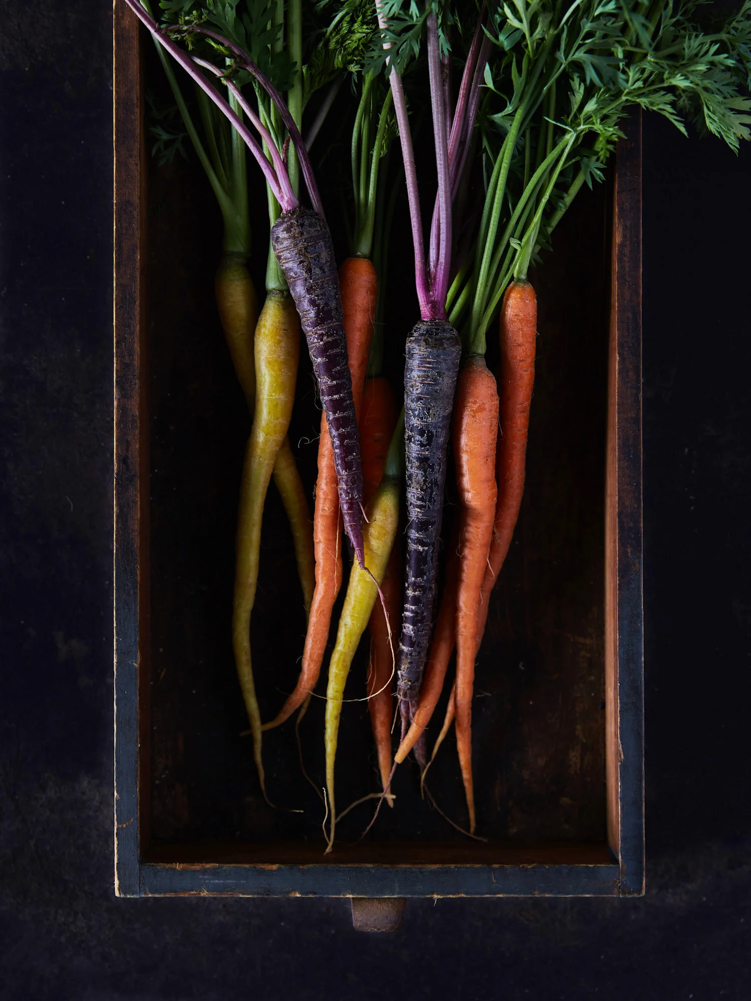Carrots
