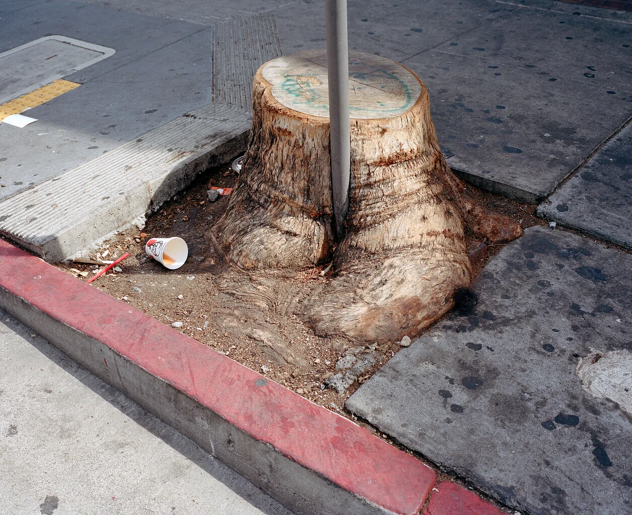 tenderloin.jpg