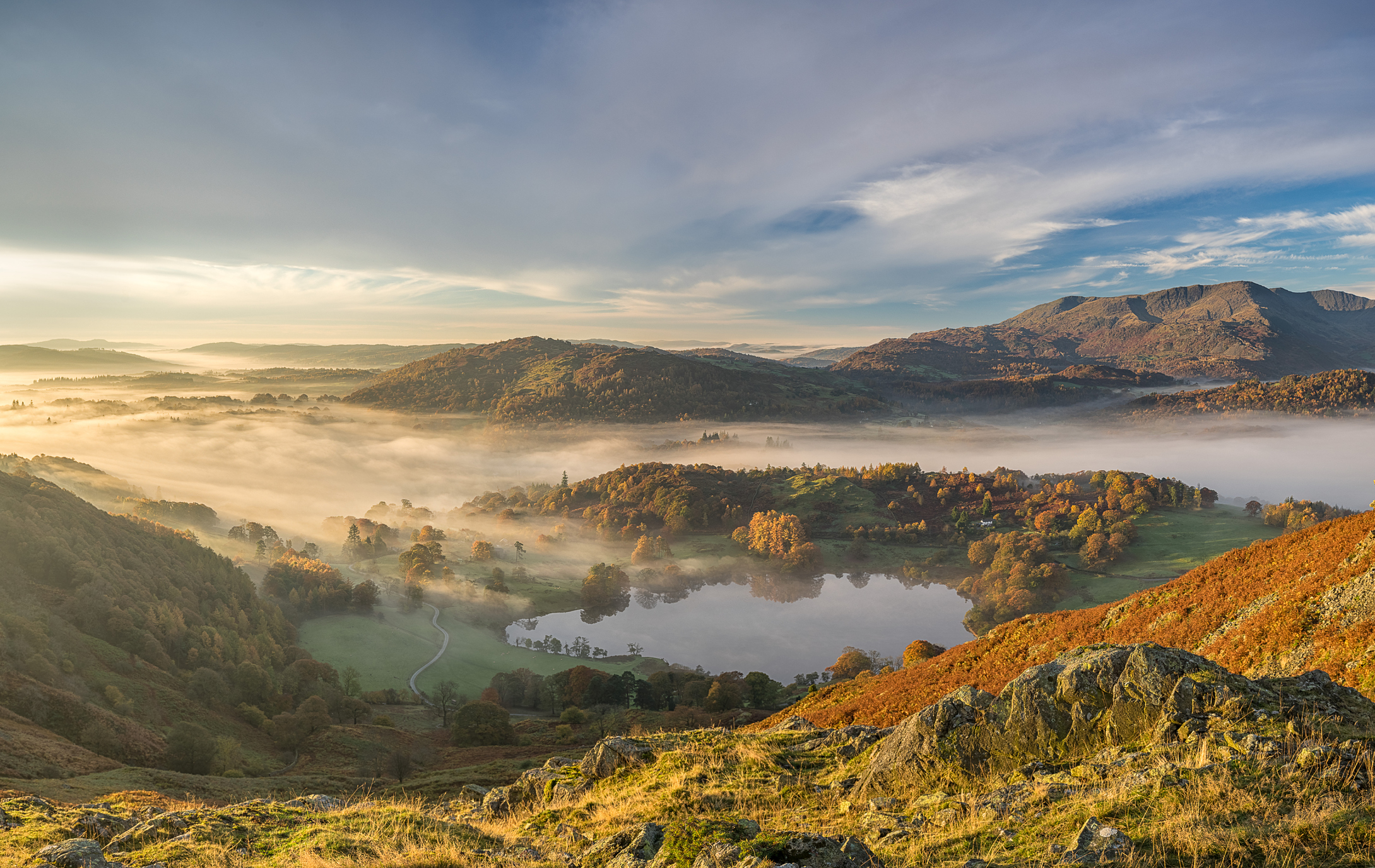 iStock-496923950.jpg