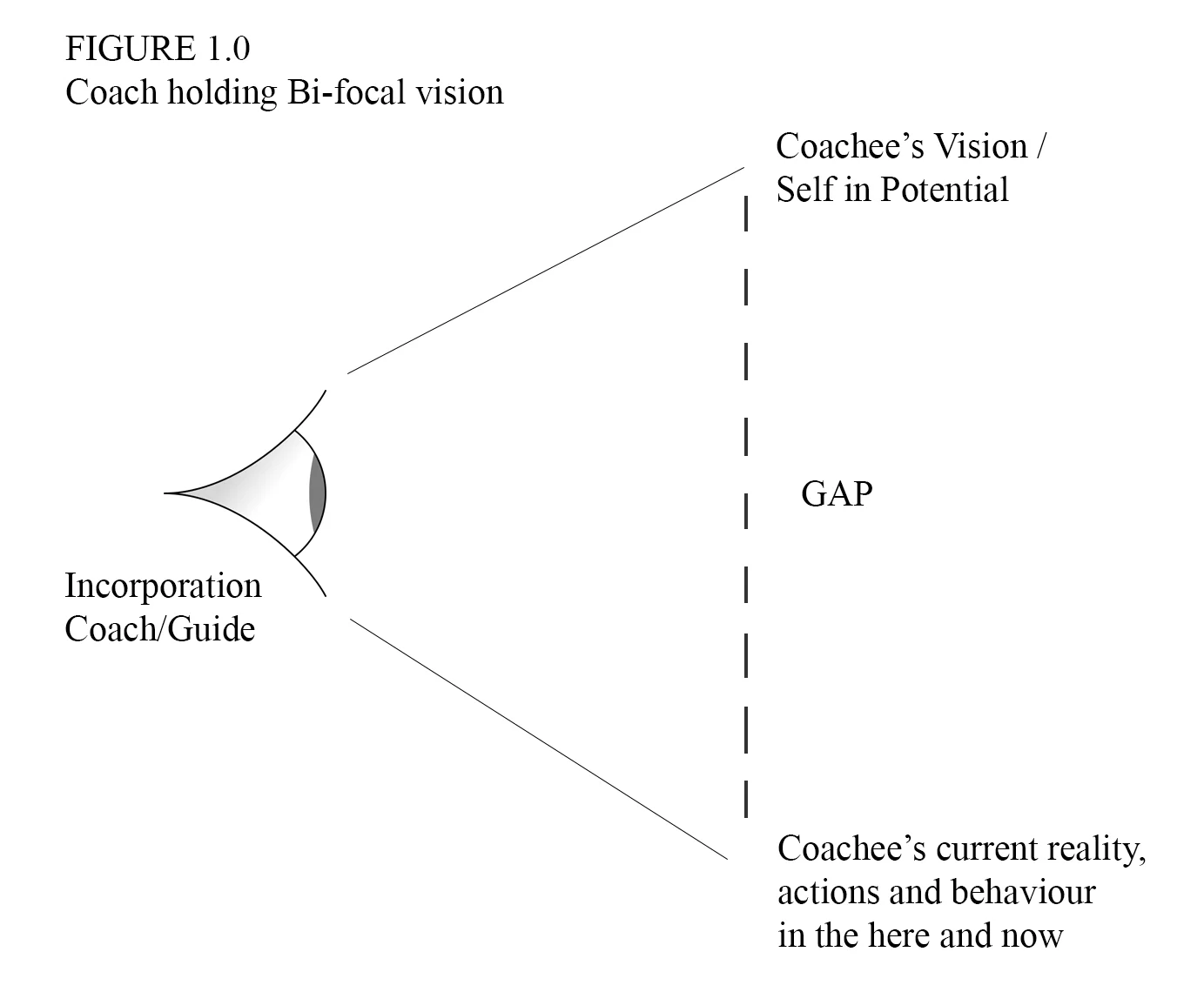 bi-focal-vision.jpg