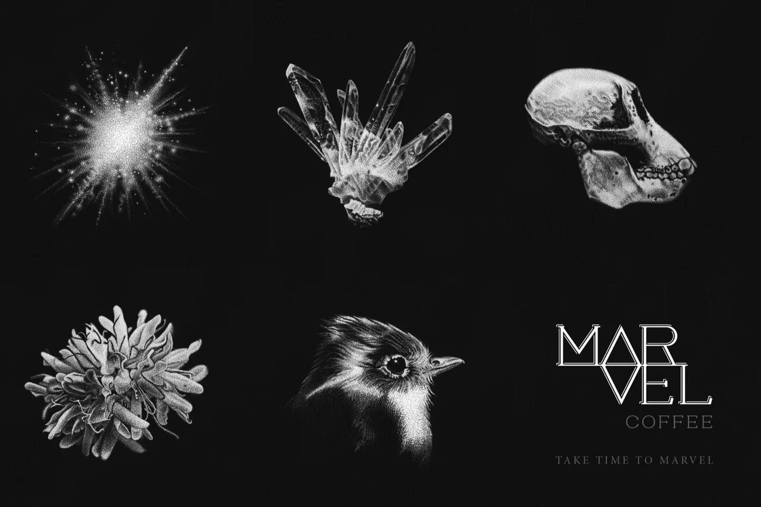 Canyon_MarvelCoffee_001.jpg